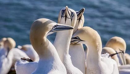 米兰体育APP官网-巴特勒强硬表现带热火力克雄鹿，巴特勒在热火的合同