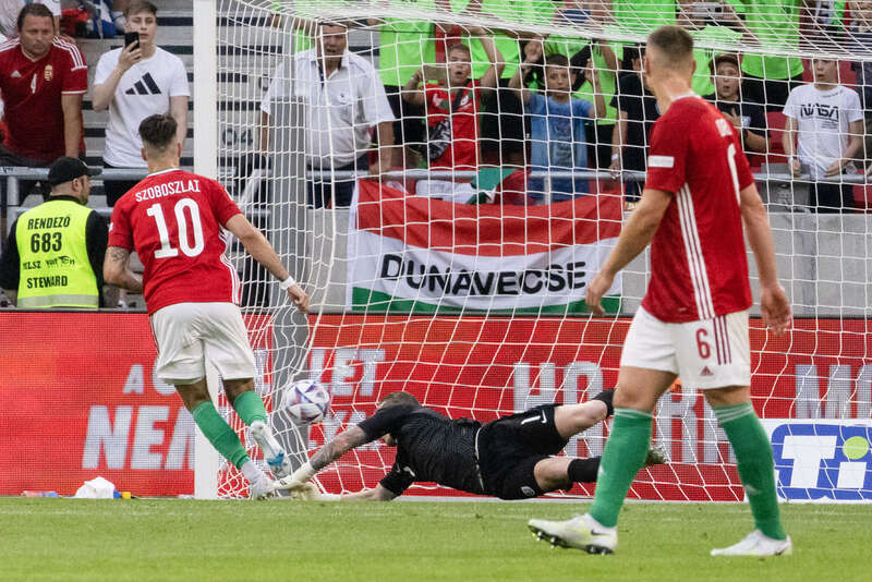 球场抗议：球员与裁判的精彩交锋的简单介绍