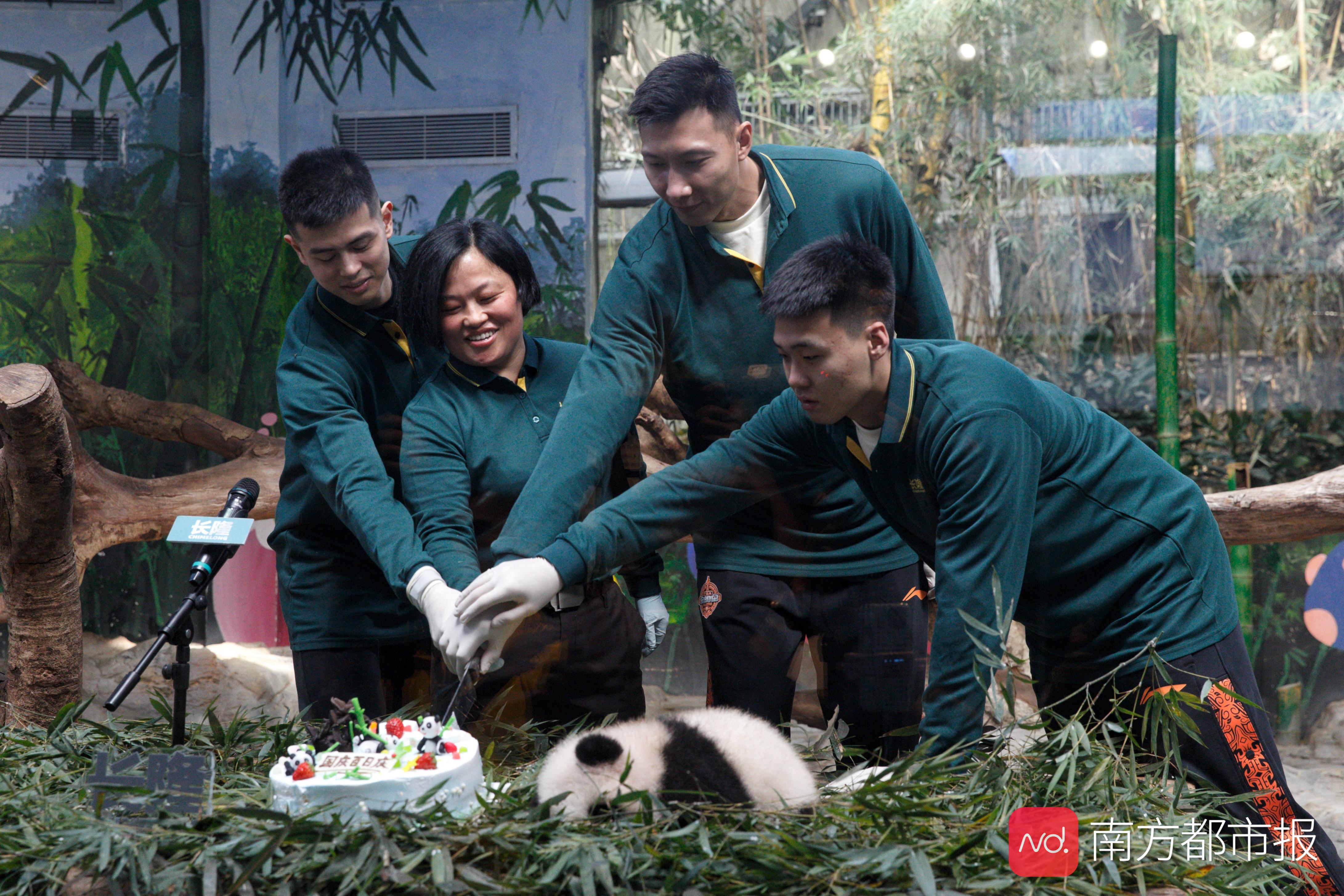 关于青春风暴席卷中国熊猫篮球赛火热报名中的信息